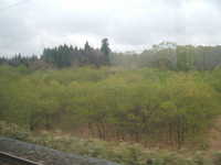  dscf0461.jpg 