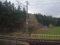  dscf0463.jpg 