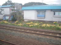  dscf0468.jpg 