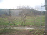  dscf0469.jpg 