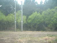  dscf0474.jpg 