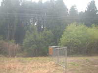  dscf0475.jpg 
