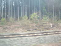  dscf0476.jpg 