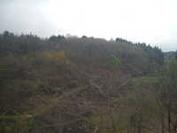  dscf0477.jpg 