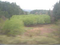  dscf0478.jpg 