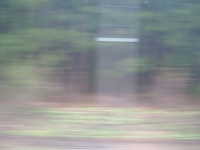  dscf0479.jpg 