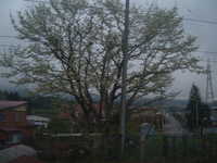  dscf0480.jpg 
