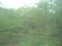  dscf0482.jpg 