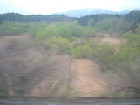  dscf0483.jpg 