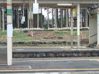  dscf0494.jpg 