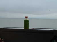  dscf0500.jpg 