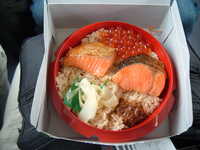 dscf0502.jpg 