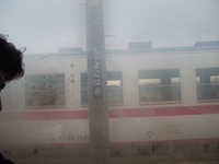  dscf0506.jpg 