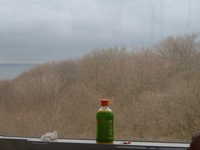  dscf0508.jpg 