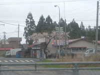  dscf0510.jpg 