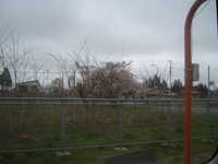  dscf0514.jpg 