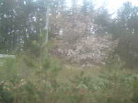  dscf0563.jpg 