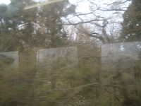  dscf0565.jpg 