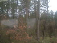  dscf0567.jpg 