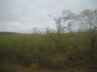  dscf0568.jpg 