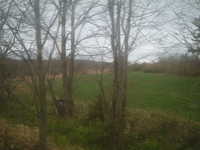  dscf0569.jpg 