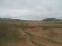  dscf0570.jpg 