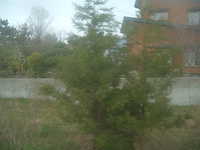 dscf0571.jpg 