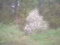  dscf0572.jpg 