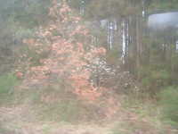  dscf0573.jpg 