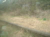  dscf0574.jpg 