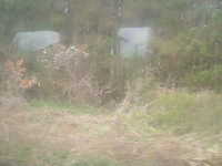  dscf0575.jpg 