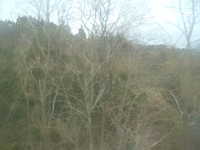  dscf0576.jpg 