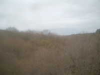  dscf0577.jpg 