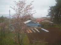  dscf0584.jpg 