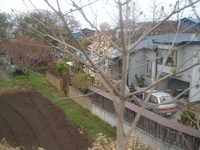  dscf0598.jpg 
