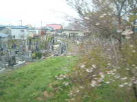  dscf0599.jpg 
