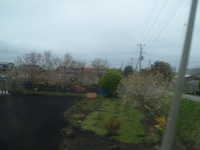  dscf0601.jpg 