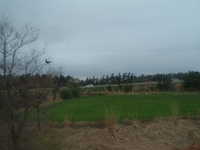  dscf0603.jpg 