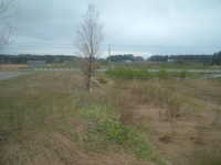  dscf0605.jpg 