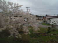  dscf0607.jpg 
