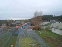  dscf0612.jpg 