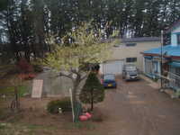  dscf0613.jpg 