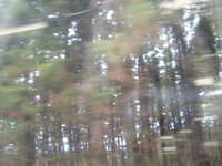  dscf0614.jpg 