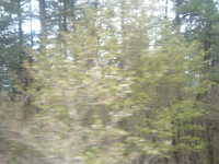  dscf0615.jpg 