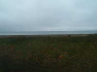  dscf0621.jpg 