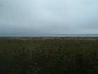  dscf0622.jpg 