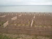  dscf0626.jpg 