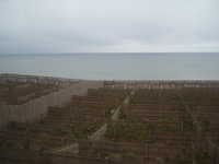  dscf0629.jpg 