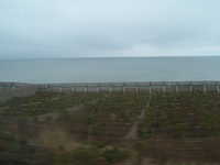  dscf0630.jpg 