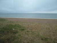  dscf0631.jpg 